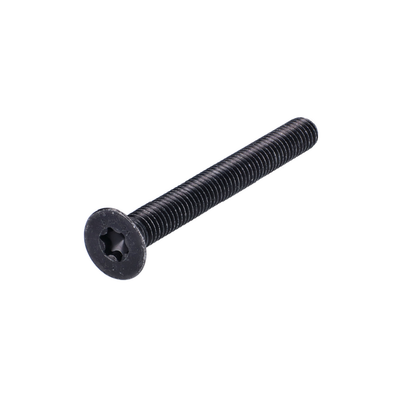 Piaggio Vespa Handlebar Bar End Weight Screw GT, GTS, GTV 125-300